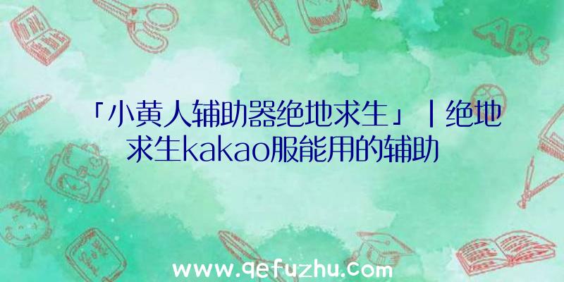 「小黄人辅助器绝地求生」|绝地求生kakao服能用的辅助